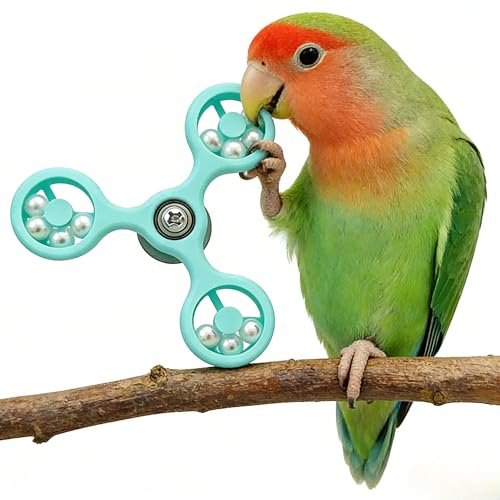 Spinning Bird-Toys Bird Cage Toys & Bird Perch Parrot-Parakeet Budgie Cockatiel Conure Macaw Chicken Parrot Enrichment Cage Accessories Small Animal Chewing Toy (Cyan Spinner) - color: Cyan Spinner