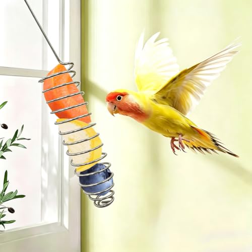 1 Pack Small Bird Millet Spray Holder & Snack Feeder - Hanging Parrot Treat Stand with Cuttlebone & Mineral Block for Beak Exercise, Metal Cage Accessories for Small Parrots & Parakeets Gifts