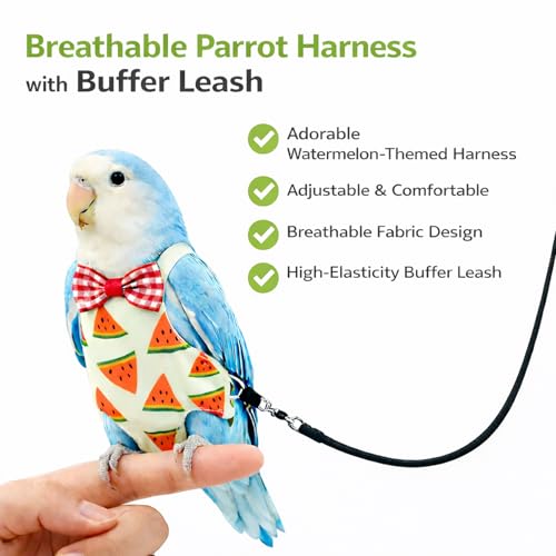 Cockatiel Conure Bird Diaper and Leash Set | Small Diaper and Harness, Washable, Reusable Flight Suit for Small Parrots - size: L
