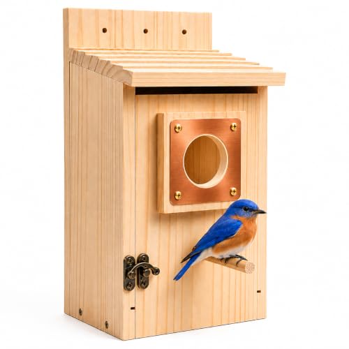 Bluebird House for Outside, Bird House with Copper Predator Guard, Natural Pine Wood Birdhouse, No Assembly Required, Easy Clean Nesting Box for Bluebirds, Wrens, Chickadees, Tree Swallows & Finches