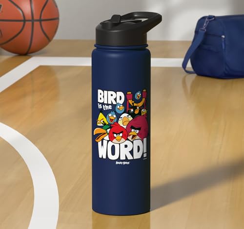 Angry Birds Group Bird is the Word Stainless Steel Insulated Water Bottle - color: Navy Blue