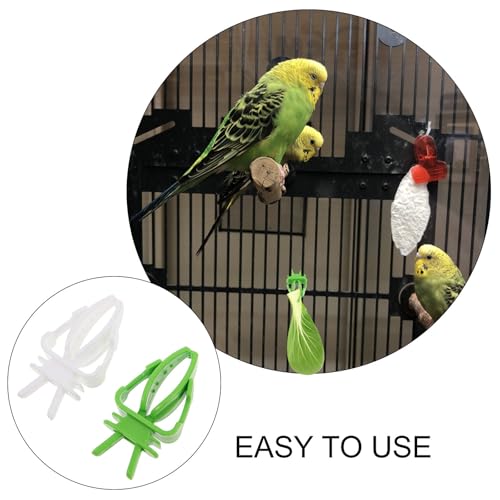 20pcs Bird Cage Food Holder Clips for Budgie and Conure Parrots, Pp Material Vegetable and Cuttlebone Feeders with Smooth Edges for Enriching Pet's Diet