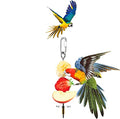 Bird Fruit Holder Skewer, Durable Stainless Steel Treat Feeder for Bird Cages Small Pets Silver 22cm 1 Pack