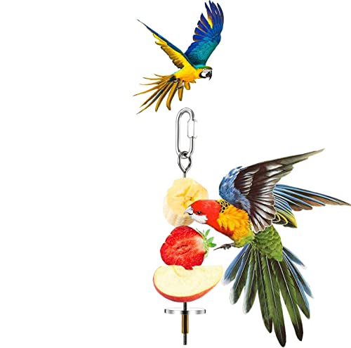 Bird Fruit Holder Skewer, Durable Stainless Steel Treat Feeder for Bird Cages Small Pets Silver 22cm 1 Pack