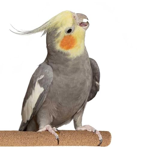 Super Bird Creations Sure-Grip Grooming Perch, Medium