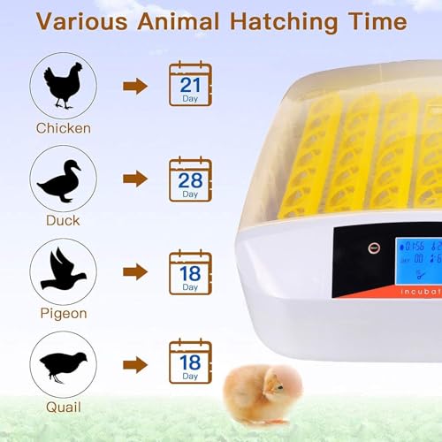 55 Egg Incubator with Auto Turner & Humidity Control 360° View | High Hatch Rate Poultry Hatcher for Chicken Duck Quail, Ideal for Farm & Home Breeding - size: 55 Egg