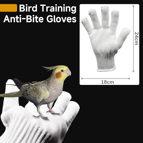 QBLEEV 1 Pair Bird Handling Anti-Bite Gloves, Small Animal Bite Proof Gloves for Training - color: White