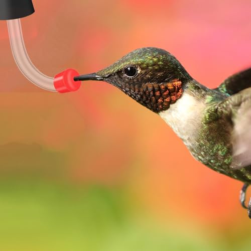 10 Pcs Hummingbird Feeder Tubes and Stopper Replacement Parts Humming Bird Feeder Tube Make Your Own Dispenser Outside Water Dispenser Tubes Stoppers for Wine Bottle Outdoor