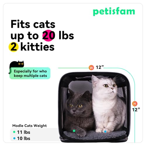 Soft Pet Carrier Bag for Cats and Puppy Under 20 lbs. Sturdy, Safe, Comfortable and Lightweight | Top Opening, Quik-in. Zip-to-Lock. Stress-Free Vet Visits. Cats Can't Resist. Easy Storage, Cleaning. Lightweight. Breathable - color: Grey