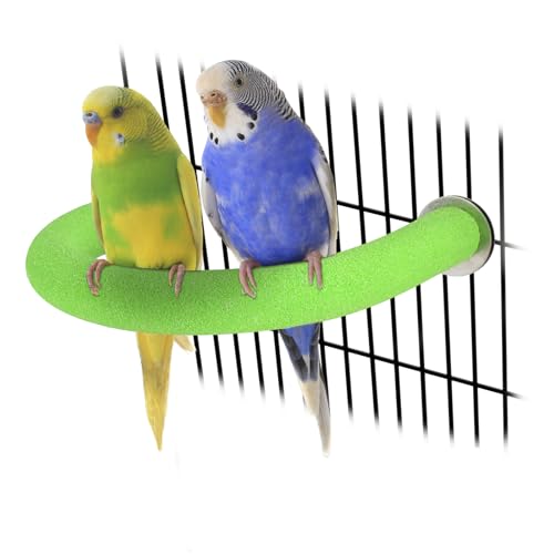 Rypet U-Shaped Parrot Perch, Quartz Bird Perch for Cage(Green S) | Safe Chew & Rest Perch for Large Birds, Durable Non-Toxic Cage Accessory, for Parakeets Cockatiels Conures Macaws - color: Green, size: Small