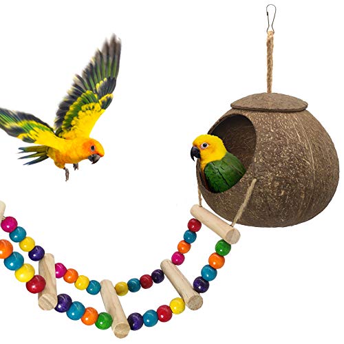 Hanging Coconut Birds House with Ladder, Natural Coconut Bird Nest | Coconut Hide Birds Swing Toys for Parrot Parakeet Lovebird Finch Canary for Hamster, Bird Cage Accessories, Pet Bird Supply