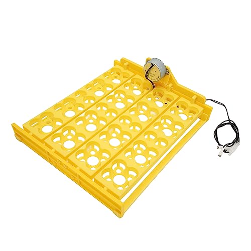 Automatic Egg Turner Tray - Multifunction Incubator Tray for 16 Duck Eggs, 72 Quail Eggs (AC12V) - size: AC12V