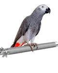 KATUMO Bird Perch - Stainless Steel - Rough Surface Stand for Small to Medium Parrots (9.8 x 1.0 inch) - size: M: 9.8 x 1 inch
