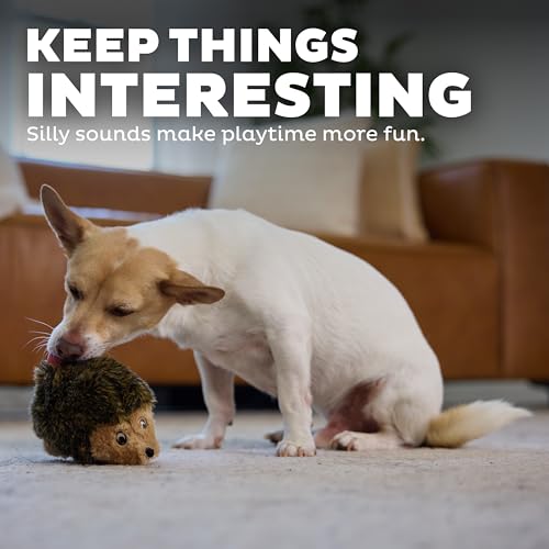 Outward Hound Hedgehogz Plush Dog Toy, Squeaks, Small, 6" x 4.5" | Soft Realistic Faux Fur, Round for Rolling & Chasing, Cuddle & Carry, Interactive Fetch, Light Chewers, Dogs & Puppies - size: Small (Pack of 1)