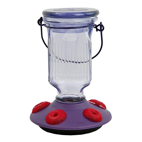 Perky-Pet 9101-2 Lavender Field Top-Fill Glass Hummingbird Feeder Purple 16 oz Capacity - color: Purple