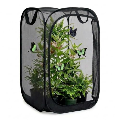Mesh Plant Protection Enclosure, Portable Collapsible Garden Grow Cage with Mesh Barrier, Pest & Bird Proof Plant Cover for Vegetables, Fruits, Outdoor Patio Balcony Use, 36 Inches Tall - color: Black/Black, size: 36 × 24 × 24 inches
