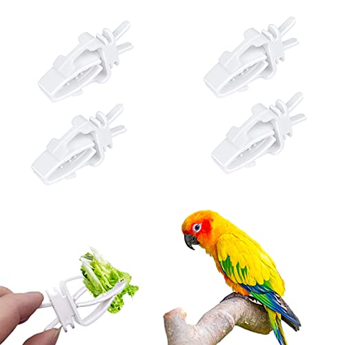 WishLotus Bird Cage Feeding Clips, 4 PCS Plastic Durable Parrot Fruit Vegetable Clips Bird Cage Food Holder Mini Birdcage Feeder for Pet Birds and Parrot Feeding Birdcage Accessories (A)