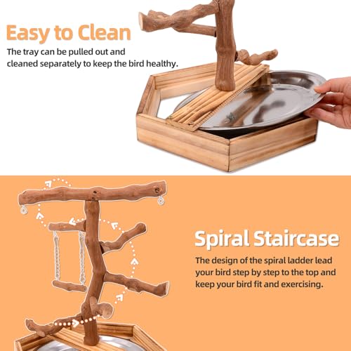LIMIO Natural Grape Wood Bird Parakeet Playground - Perch Stand for Parakeets, Cockatiels, and Small Birds Toys