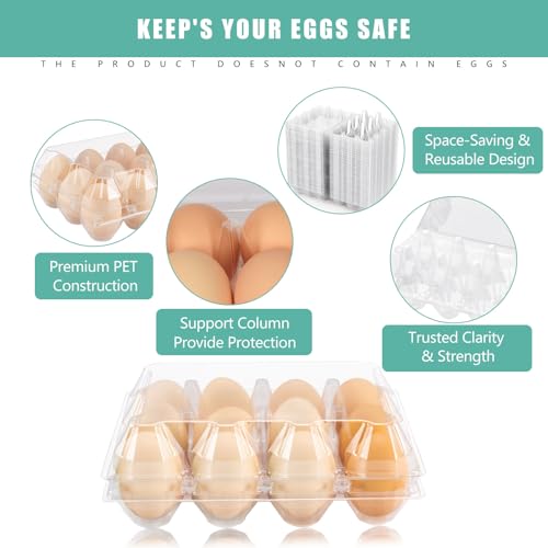 SINLUCESCE 100 Packs Egg Cartons Cheap Bulk, Plastic for 12 Eggs, Clear Egg Cartons 3 x 4 Grids, Perfect for Refrigerator Family Farm Commercial Business Market Display