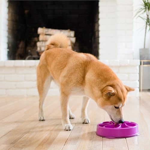 Outward Hound Fun Feeder Slo Bowl – Medium 2‑Cup Capacity, Slow Feeding, Small to Medium Dogs & Cats, Non-Slip, Purple, Flower Pattern - color: Purple, size: Medium