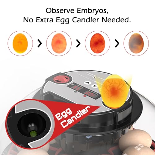 Smart Chicken Incubators for Hatching Eggs with Automatic Turner Small Poultry Duck Quail 12 Egg Incubator Temperature Control Display Hatcher Machine (M12 Pro) - color: M12 Pro