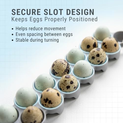 SplashNColor Quail Egg Tray Compatible with Maticoopx 20 Egg Incubator - Coturnix Quail Egg Rack - Compatible with Small Egg Incubators - Durable Egg Turner Accessory - 14 Slots - ABS White (1 Pack)