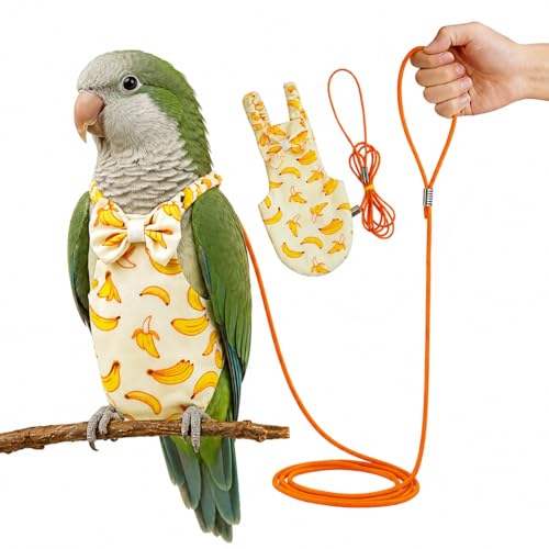 Medium Bird Diaper and Leash Set with Harness | Eclectus/ African Grey/Caique/Senegal Parrot Diaper Leash, Medium Bird Flight Suit Set for Outdoor Flying & Training (L)