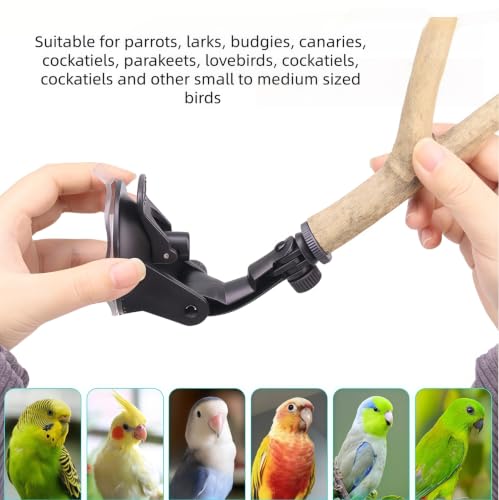 2 Pcs Parrot Perch Stand with Grip Suction Cup, Movable Perch Stand Bird Training Set, for Flat, Windows, Flat Tiles, Bath/Car Wood Training Perch,for Bird, Cockatoo, Macaw, Parakeet