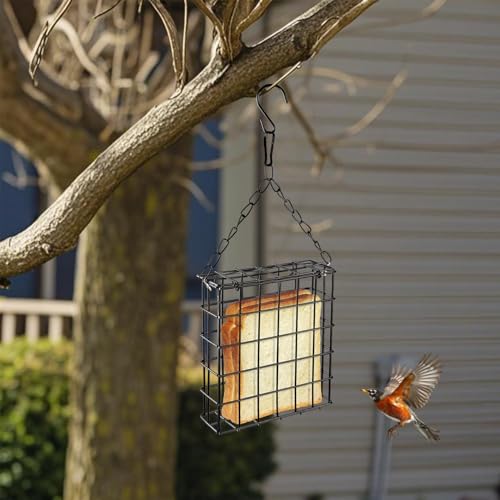 Two of Durable Outdoor Garden Yard Patio Suet Bird Parrot Easy Open Reusable Feeders Squirrel Proof for Outside Wild Bird Parrot Woodpecker Hummingbird Hanging Fruit Capacity Suet Cake Food - style: Regular