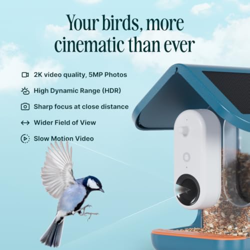 Birdbuddy Pro Solar Smart Bird Feeder with Camera, AI Bird ID, 2K Video | 2K video quality, 5MP Photos, 1/2.7” sensor with excellent low-light performance, High Dynamic Range (HDR)