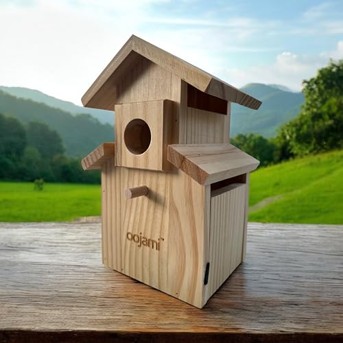 Bird House for Bluebird, Finch, Wren, Chickadee, Tree Swallow, Wild Birds, Woodpecker, Outdoor Nesting Box, Easy-to-Open (Unfinished DIY) - style: Unfinished DIY