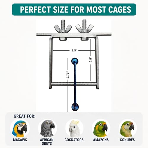 Bird Toys for Large Birds (Blue Spinner) Stainless Steel Bird Toy with Traveling Spinner | Macaw Toys | Durable Puzzle Enrichment Toy for Medium to Large Birds Cockatoos Parrot | Bird Cage Accessories - color: Spinner - Blue Flamed