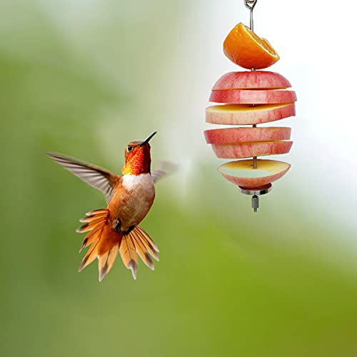 Bird Food Holder, Feeder Toy, Foraging Toy, Treat Skewer, Stainless Steel Parrot Fruit Vegetable Stick Holder (L) - color: L