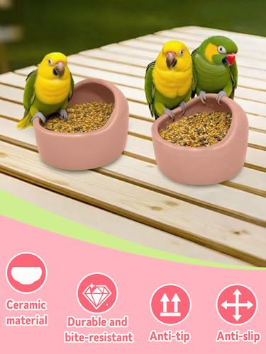 2 Pcs Bird Food Bowl Small Ceramic Bowls for Birds Parakeet Food Bowl Parrot Feeding Cups, Bird Cage Feeder with 2 Plastic Feeding Clips for Parakeets Conure Cockatiels Lovebird Budgie (Pink) - color: Pink