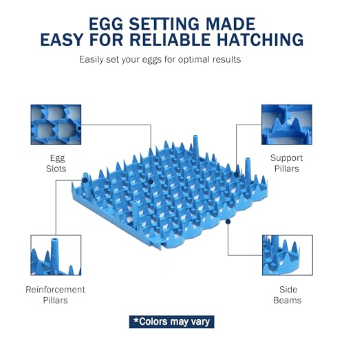 Universal Chicken Egg Trays (6 pack)