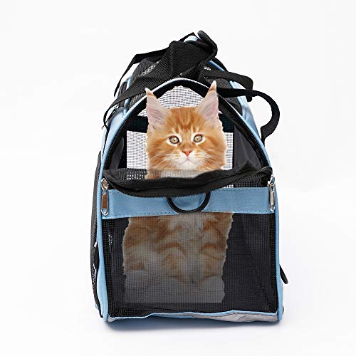MuchL Pet Carrier Soft-Sided Carriers for Cat Carriers Dog Carrier for Small Medium Cats Dogs Puppies Pet Carrier Airline Approved Cat Dog Pet Travel Carrier (Small, Blue) - color: Small-Blue