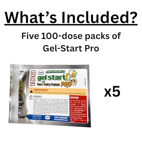 Grogel Plus-B Hatchling Nutritional Gel – 100 Dose Pack (5 Packs) – Hydration & Nutrient Support for Baby Chicks, Poults, Ducklings & Quail Nutrition