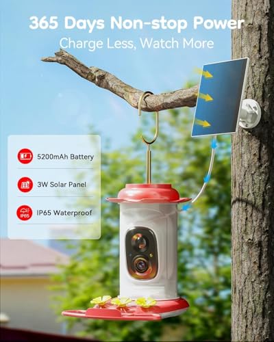 Solar Hummingbird Feeder with Camera, 2K Live View AI Identify Camera | 2K live view camera, Smart AI species identification, Ant guard & moat, Bee proof design, 3 feeding ports, Bird lover gift