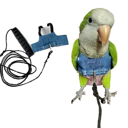 Bird Flight Harness Vest, Parrot Suit with Leash for Cockatiels Conures Budgies Lovebirds African Grey, Flying Clothes Rope and Handle Outdoor Activities Training (XX-Large)