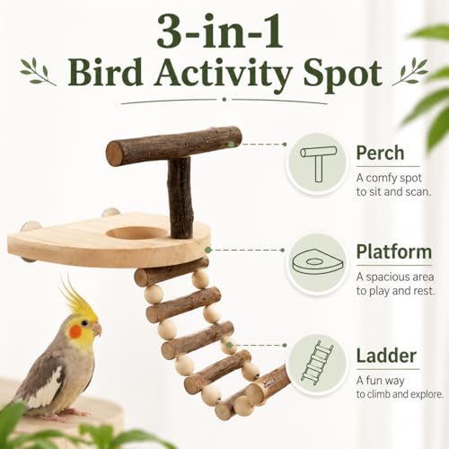 Bird Perch for Cage, Natural Pine Wood Platform with Ladder, Cage Mounted Parrot Perch for Parakeets, Cockatiels, Budgies, Finches & Small Birds
