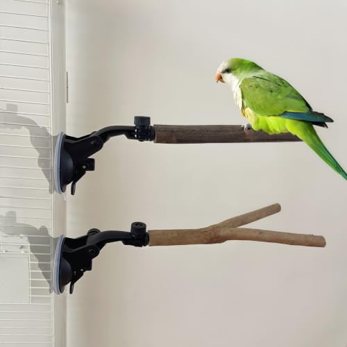 2 Pcs Parrot Perch Stand with Grip Suction Cup, Movable Perch Stand Bird Training Set, for Flat, Windows, Flat Tiles, Bath/Car Wood Training Perch,for Bird, Cockatoo, Macaw, Parakeet