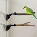 2 Pcs Parrot Perch Stand with Grip Suction Cup, Movable Perch Stand Bird Training Set, for Flat, Windows, Flat Tiles, Bath/Car Wood Training Perch,for Bird, Cockatoo, Macaw, Parakeet