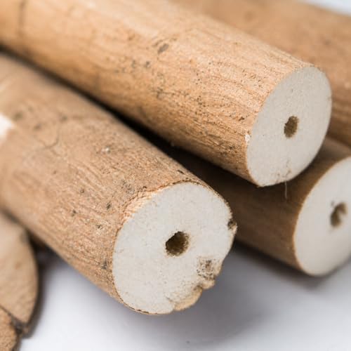 1211 Pk6 Natural Bark Sola Sticks, 6-Pack, 3" Long, 1.25" Diameter, Soft Chew and Foraging Toy for Birds, Parrots, Parakeets, Cockatiels, Lightweight, Natural, Safe, Eco-Friendly | Natural sola root sticks with center holes for chewing, shredding, toy mak