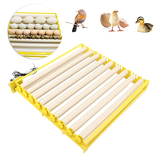 Fully Automatic Egg Incubation Tray,Household Egges Incubator Plate Automatic Chicken Eggss Turning Tray Mini Incubator Hatcher Auto Eggs Turner with Motor for Chicken Duck Quail Egg(12V)