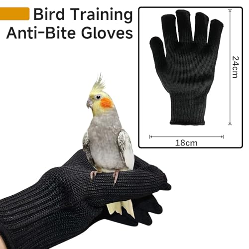 QBLEEV 1 Pair Bird Handling Anti-Bite Gloves, Small Animal Bite Proof Gloves for Training - color: Black