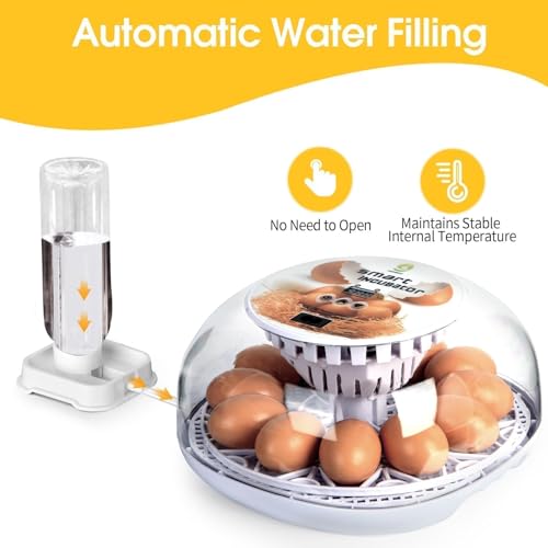 Series I - 12 Egg Incubator for Beginners, Auto Egg Turn, Steady Self-Regulating Humidity & Consistent Temperature Control for Hatching Chicken, Goose, Duck, Quail, Pigeon, and Turkeys - size: 12-Egg White