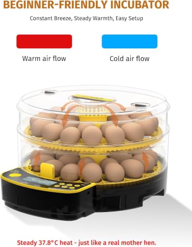 Egg Incubator for Hatching Eggs