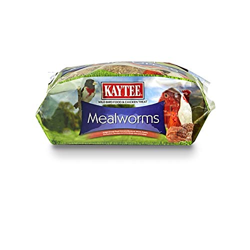 Kaytee Wild Bird Food Mealworms For Bluebirds, Wrens, Robins, Chickadees, Woodpeckers, Cardinals & Chickens, 2 Pound - size: 2 Pound (Pack of 1)