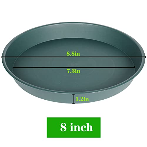 6 Pack of Bird Bath Bowl 8 inch, 8 10 12 14 16 18 20 inch Heavy Duty BirdBath Bowls only, Durable Plastic Round Large Plant Saucer Dish for Garden (8", Green) - color: Green, size: 8"