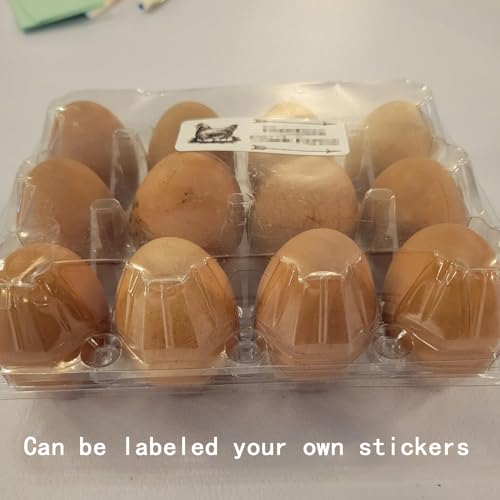 40 Pack Plastic Egg Cartons Bulk, 12 Count Chicken Duck Eggs, 1 Dozen Jumbo Clear Refrigerator Egg Trays